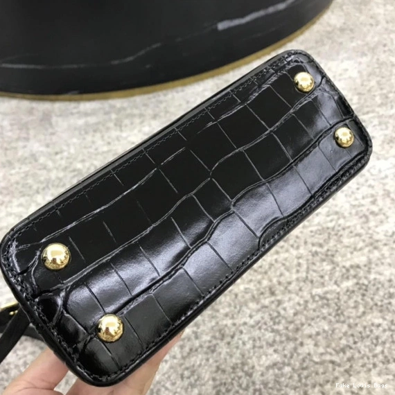 Repladies CAPUCINES VUITTON LOUIS MINI 0729